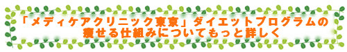 「メディケアクリニック」のダイエットプログラムの痩せる仕組みについてもっと詳しく