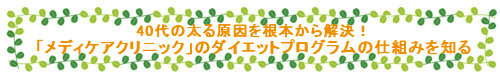 40代の太る原因を根本から解決！「メディケアダイエット」のダイエットプログラムの仕組みを知る！